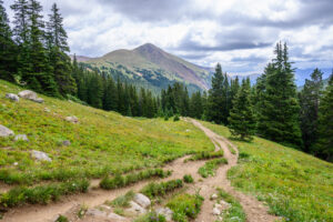 Hiking path through a field in Colorado, towards pine trees and a mountain.