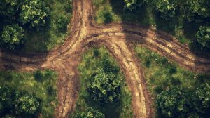 Aerial view of several cracked, weathered paths intersecting among dense green vegetation.